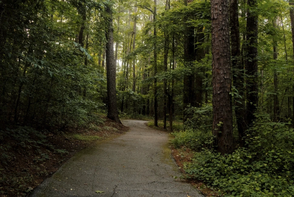 Hit the Road: Unforgettable Road Trips from Newnan, GA